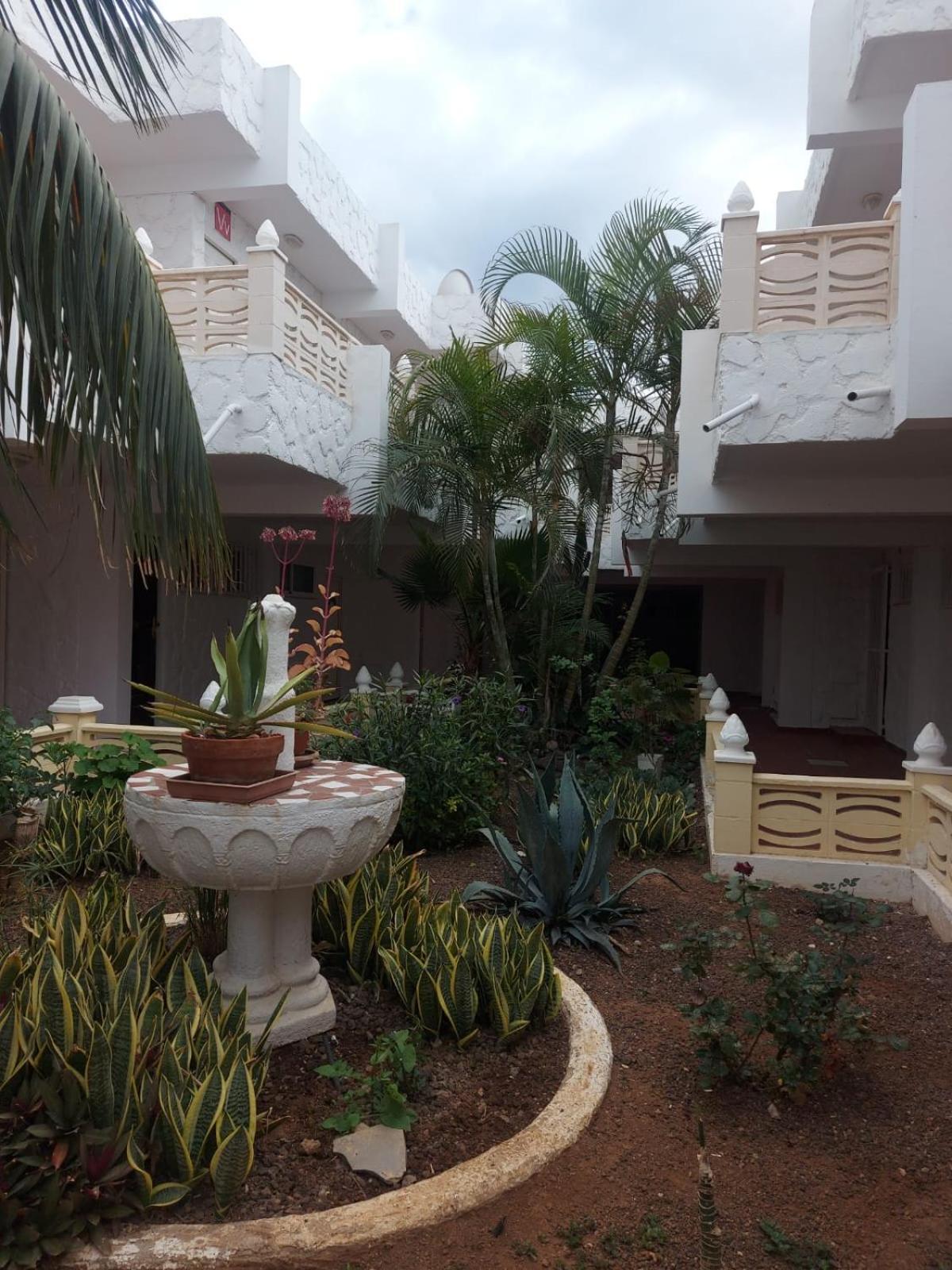 Casa Papagayo Apartment อาโรนา ภายนอก รูปภาพ